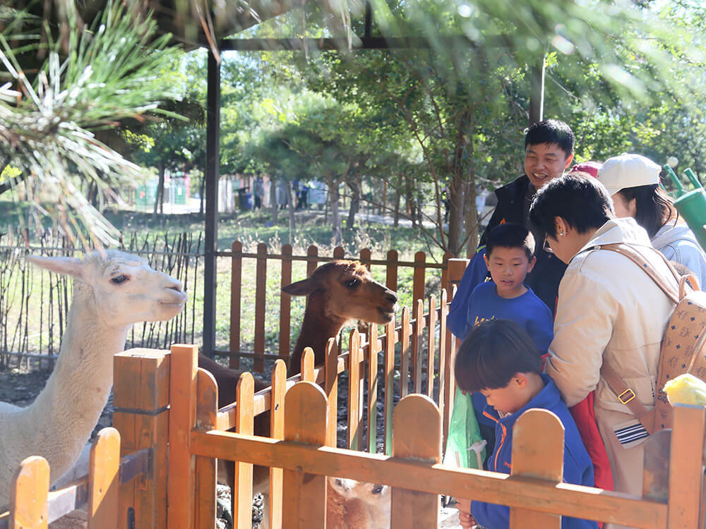 第五季動物樂園