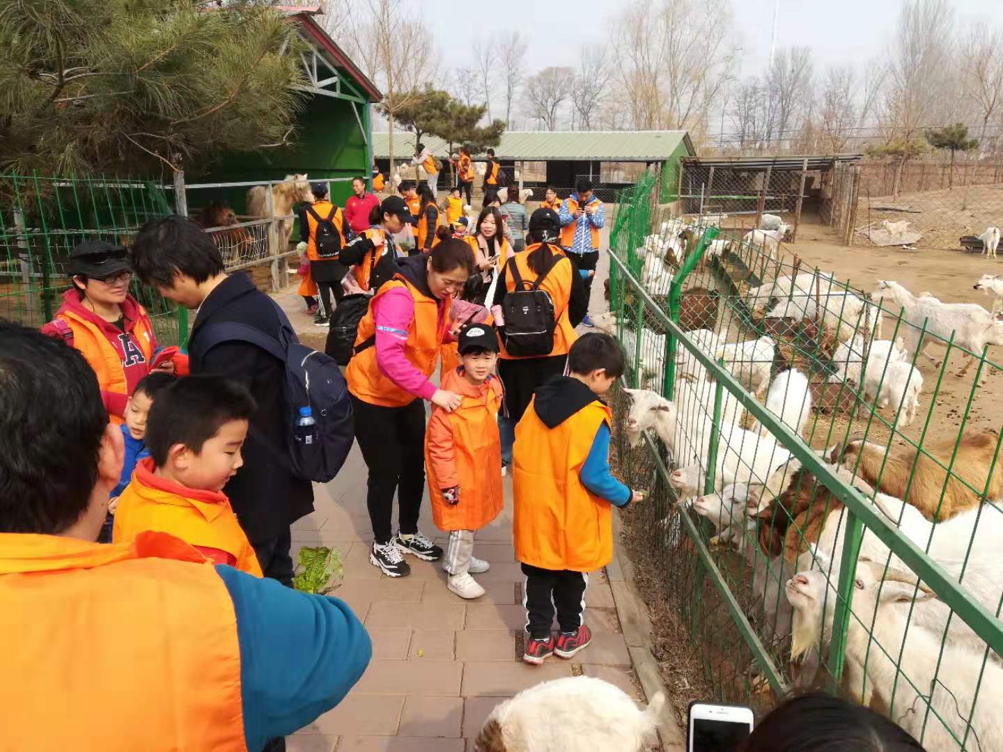 第五季動物樂園