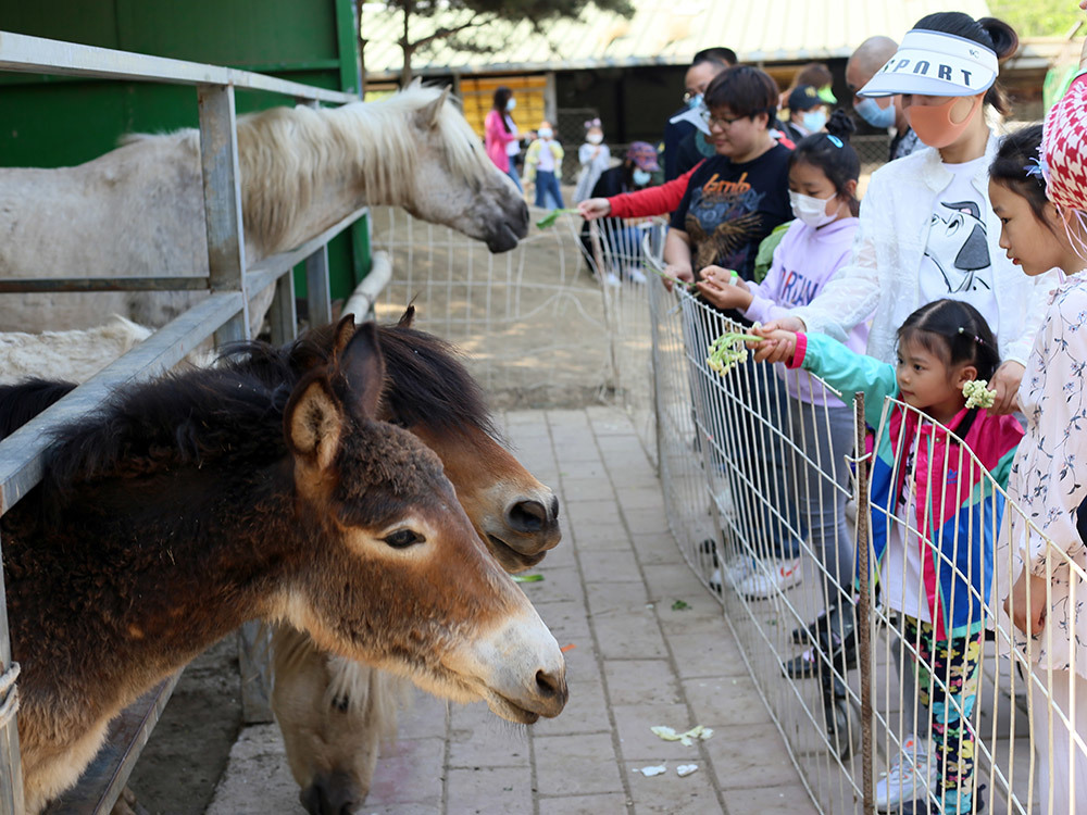 第五季動物樂園