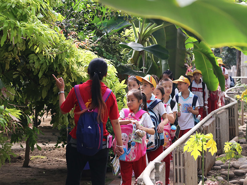熱(rè)帶水果園