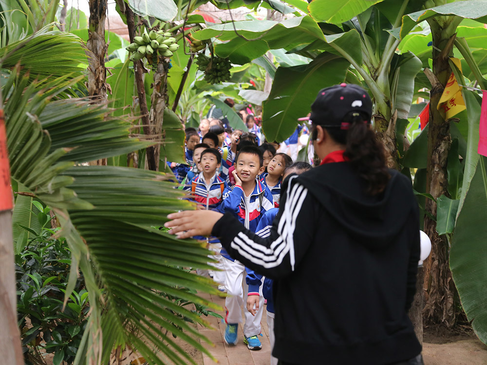 第五季台灣熱(rè)帶水果園