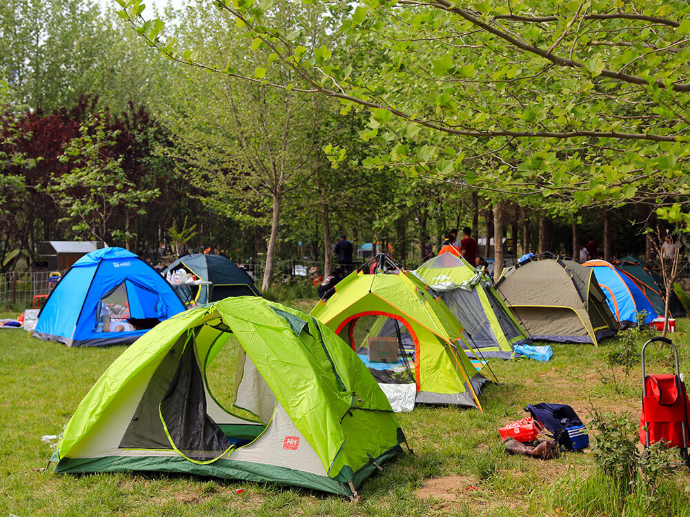 叢林花海野炊露營