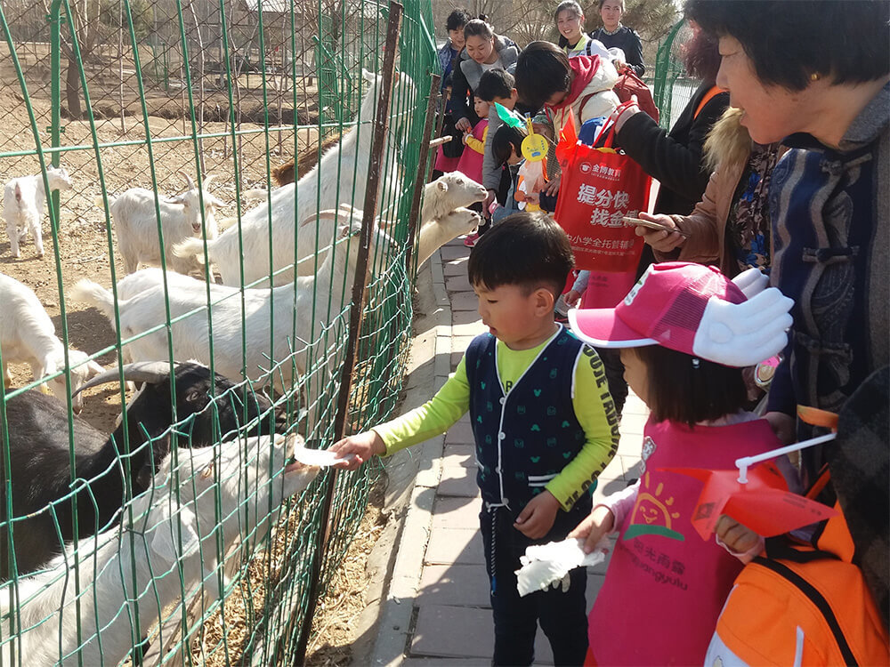 走進大(dà)美田園-親子一日(rì)遊