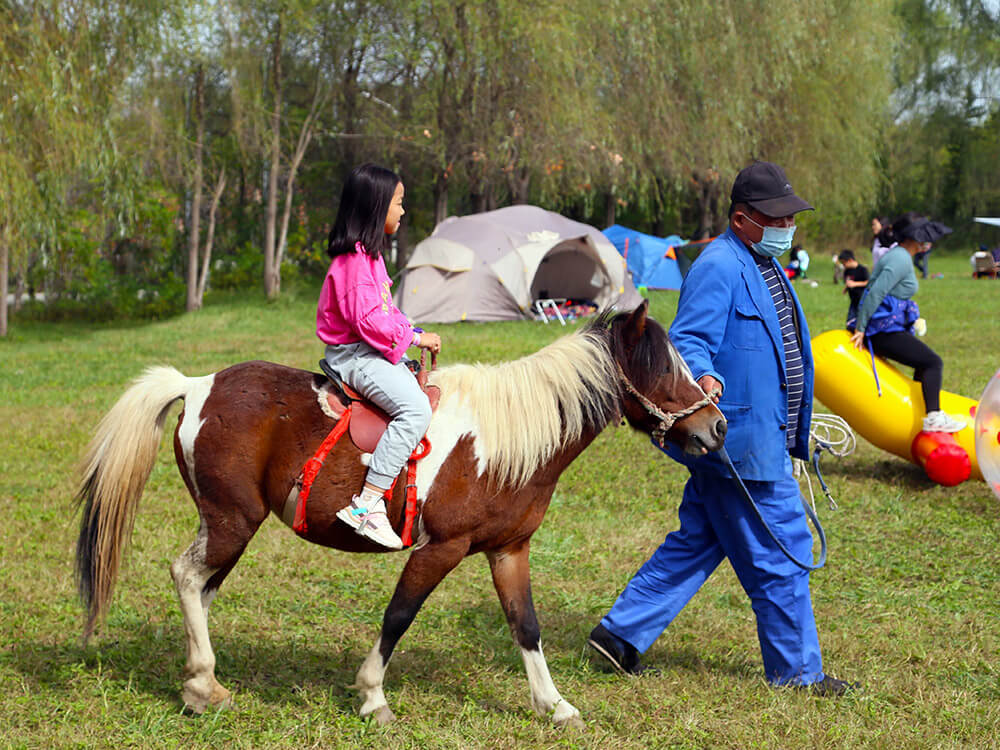 第五季動物樂園