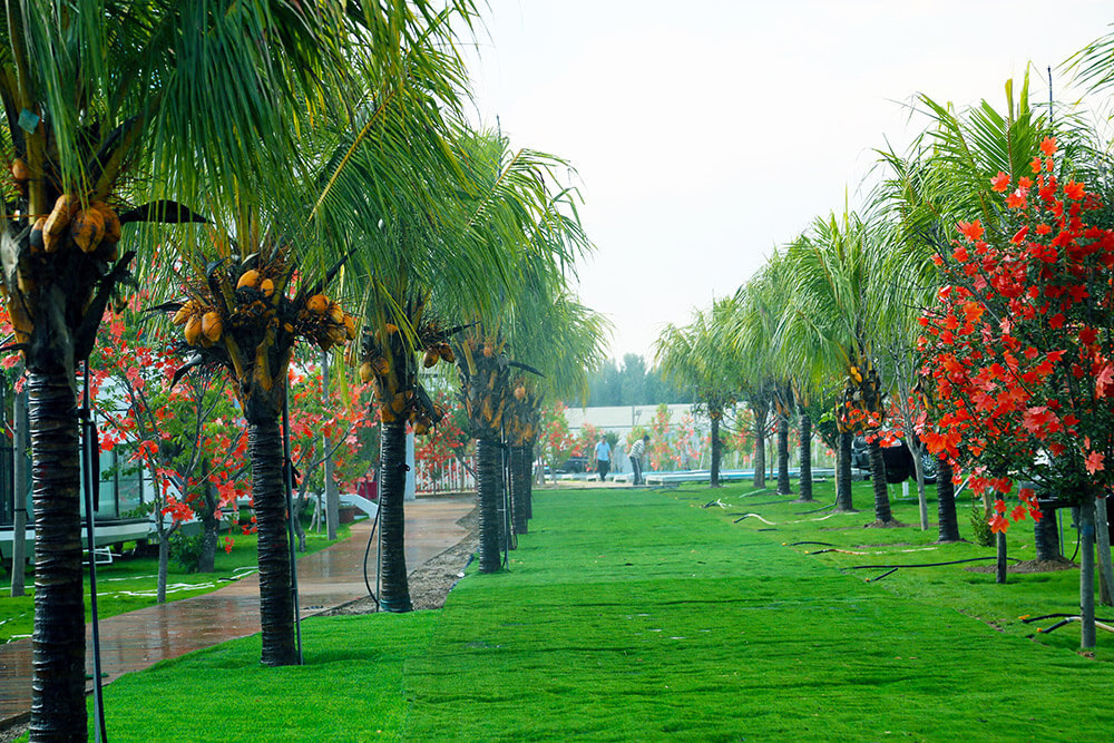 第五季鄉村榮耀任我行美好生(shēng)活連鎖項目