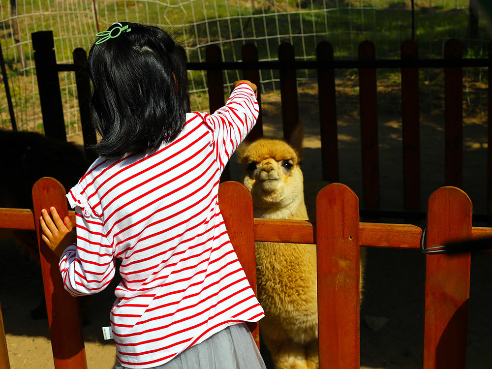 第五季動物樂園