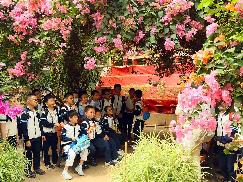 第五季台灣熱(rè)帶水果園