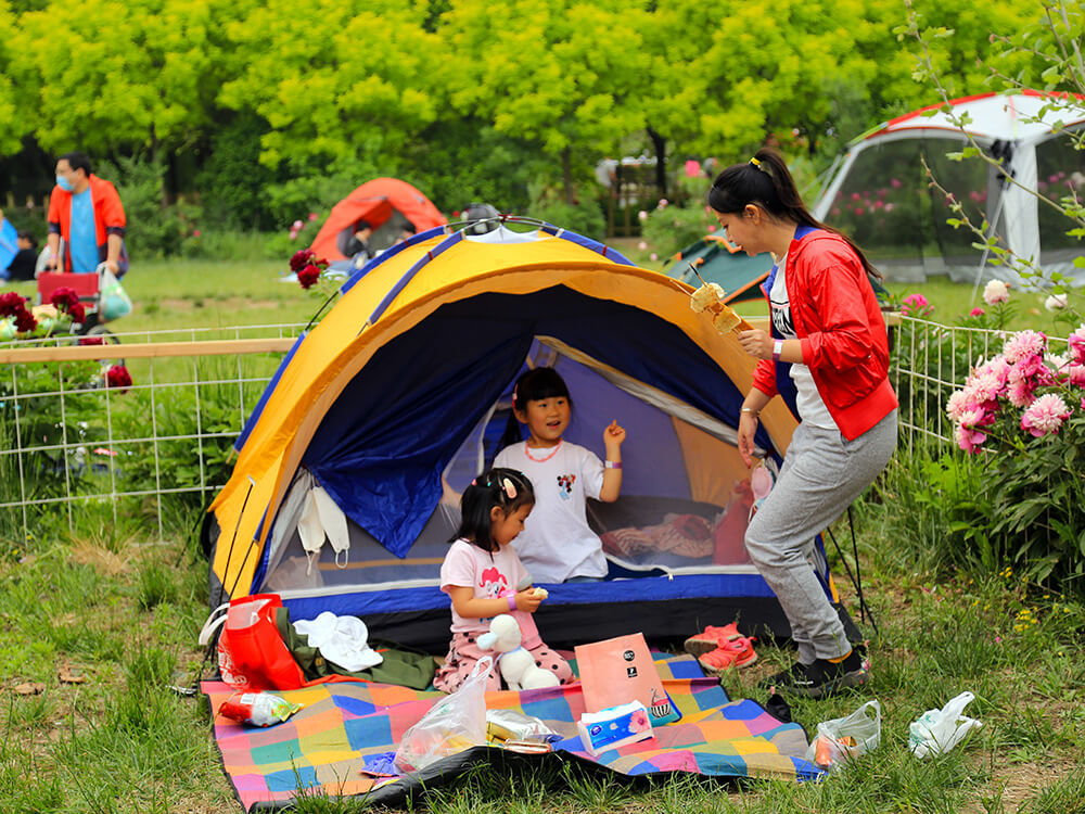 叢林花海野炊露營