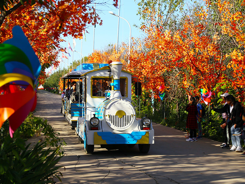 園區小火(huǒ)車