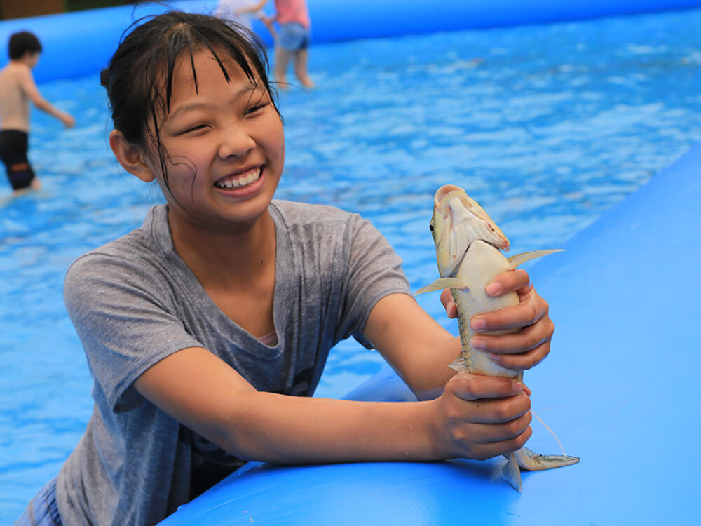 觀光(guāng)休閑