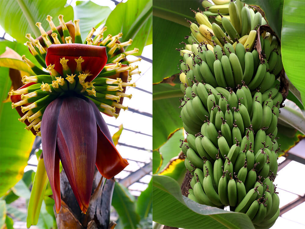 第五季循環經濟農業與有機(jī)農産品