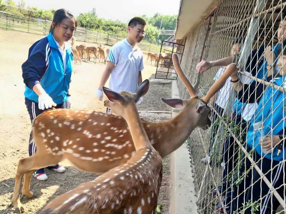 第五季動物樂園
