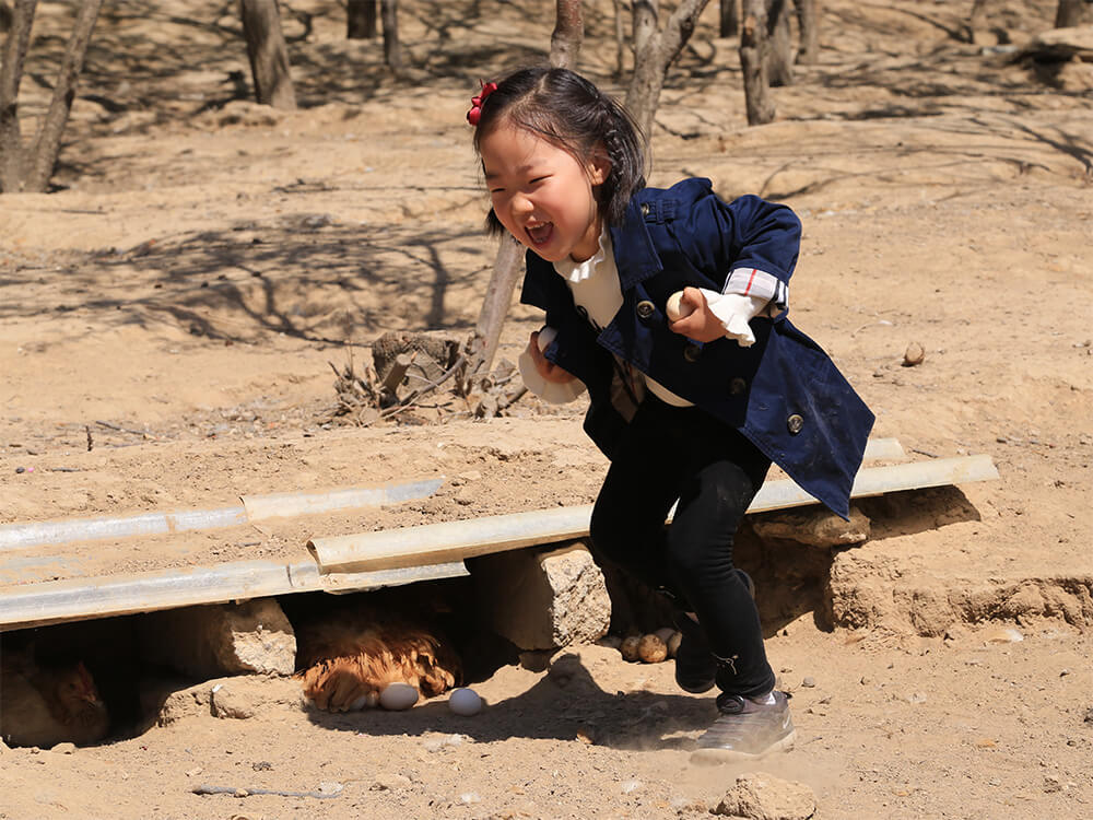 第五季循環經濟農業與有機(jī)農産品