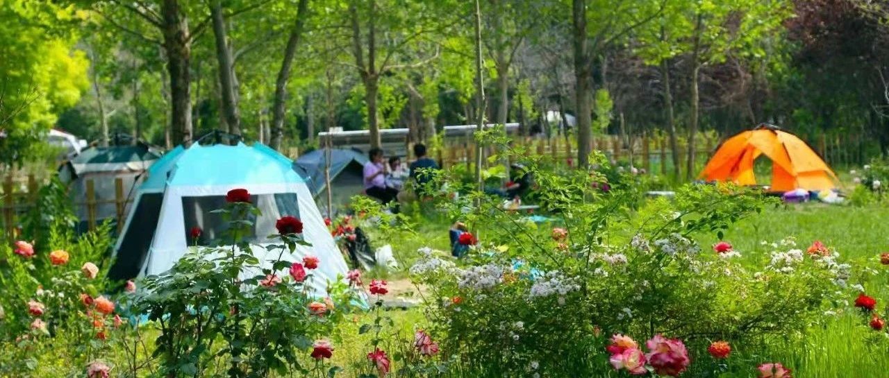 這個季節，讓我們開始露營吧(ba)！