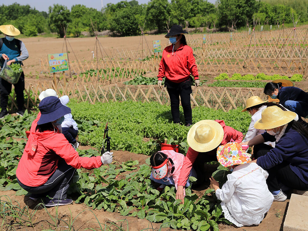 第五季循環經濟農業與有機(jī)農産品