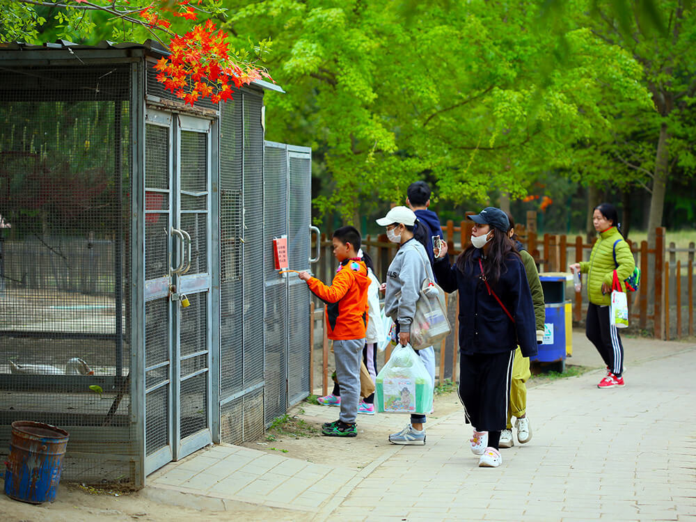 走進大(dà)美田園-親子一日(rì)遊