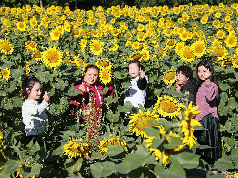 觀光(guāng)休閑