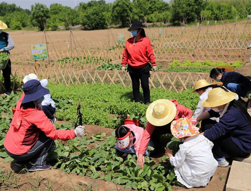農事(shì)體(tǐ)驗