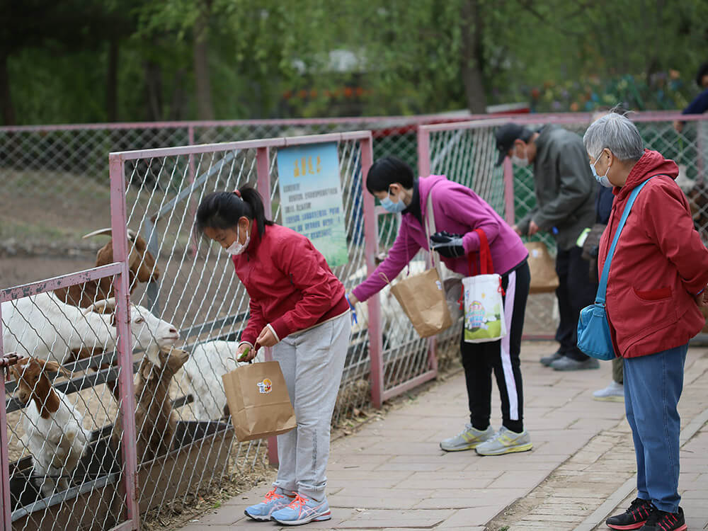 第五季動物樂園