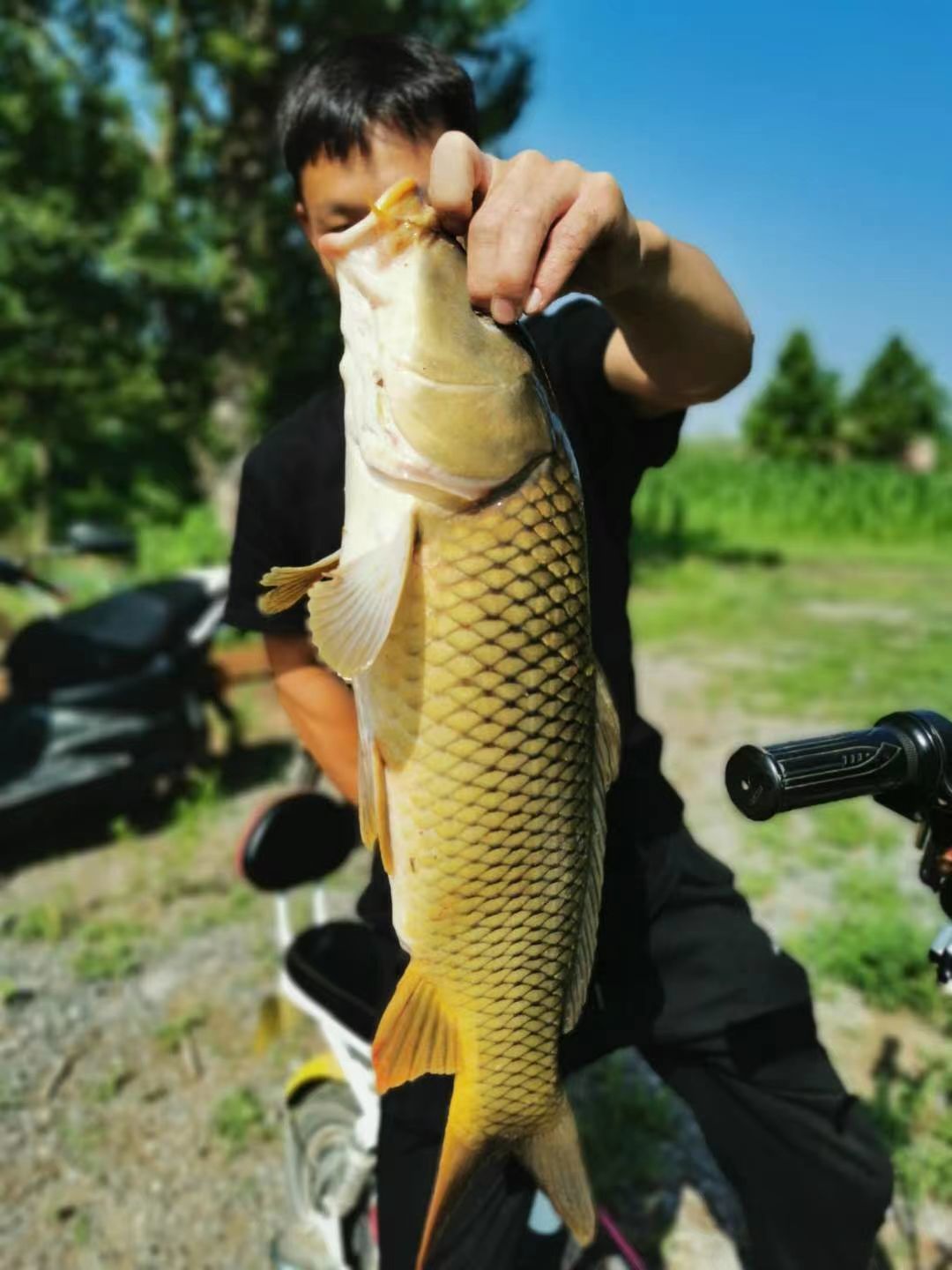 循環經濟農業與有機(jī)農産品